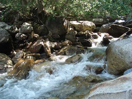 eau jaillissante
